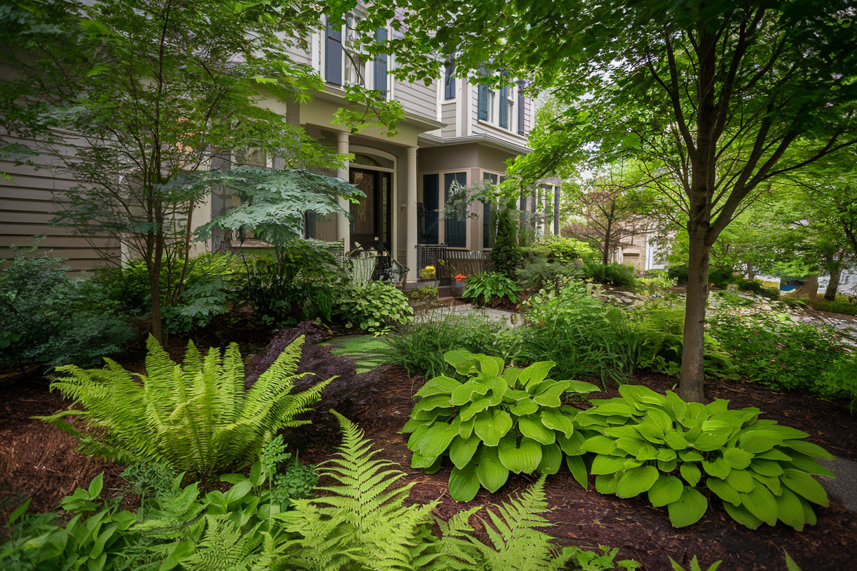 12. Woodland Garden