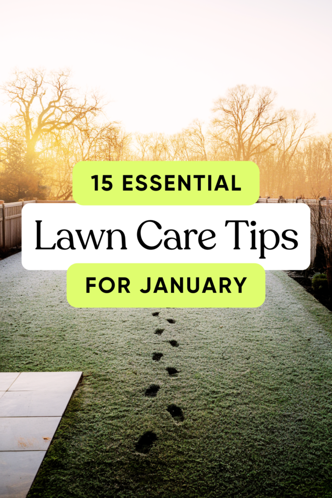 15 Essential Lawn Care Tips for January