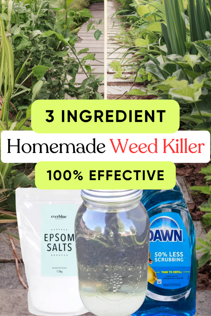 3 Ingredient Homemade Weed Killer Spray: A Simple and Effective DIY Solution