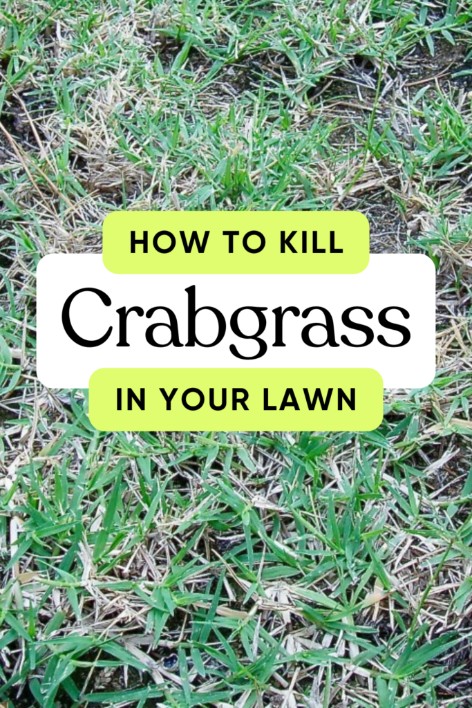 How to Kill Crabgrass in Your Lawn Without Killing the Grass