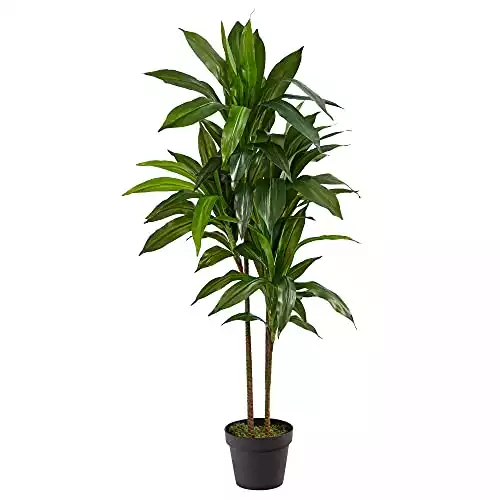 Dracaena Faux Silk Plant